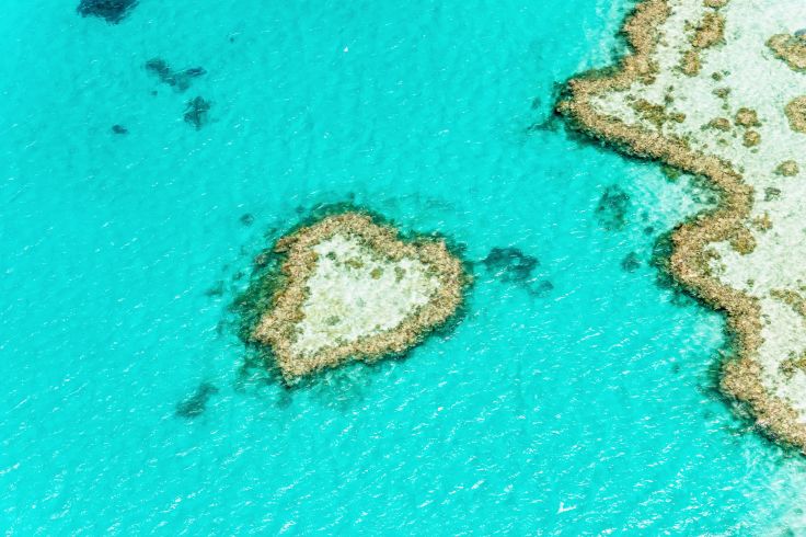 Grande barrière de corail - Australie