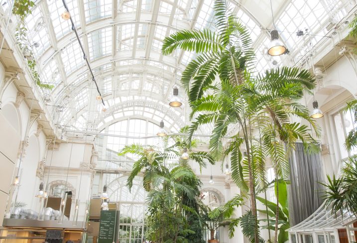 Restaurant Palmenhaus - Vienne - Autriche