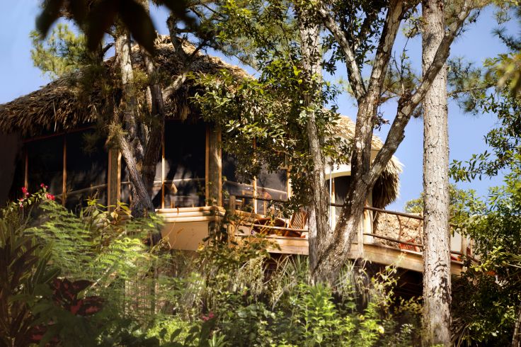 Mountain Pine Ridge - Belize
