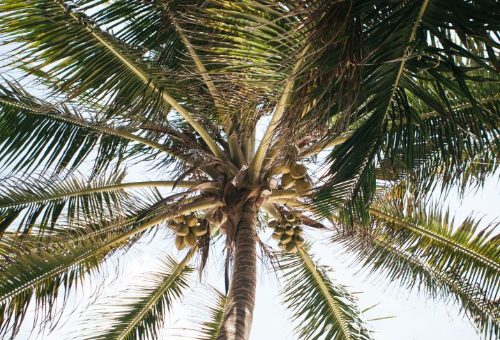 Belize