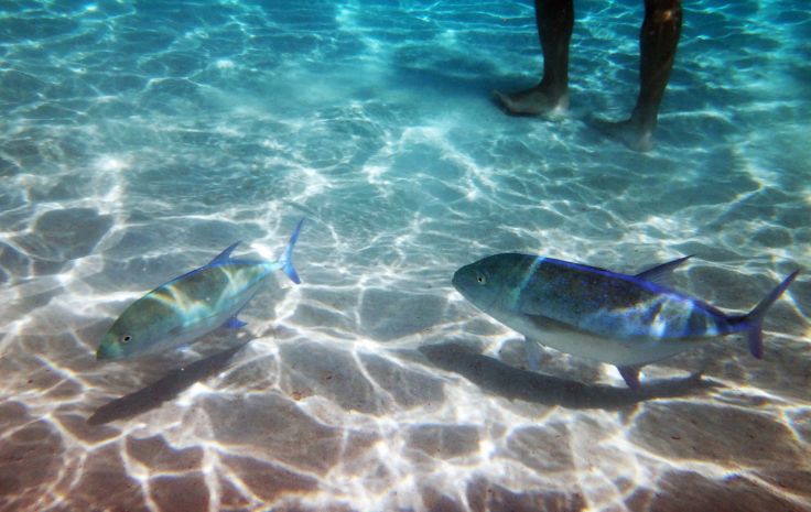 Belize