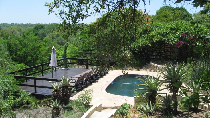 Elephant plains game lodge - Réserve de Sabi Sand