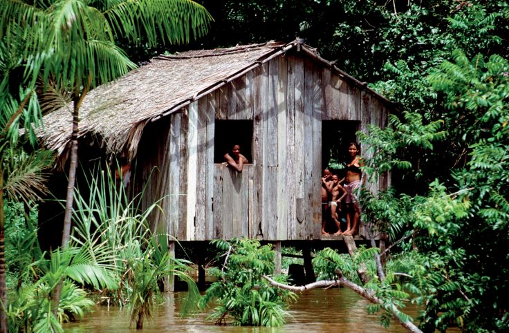 Rio Guama - Brésil