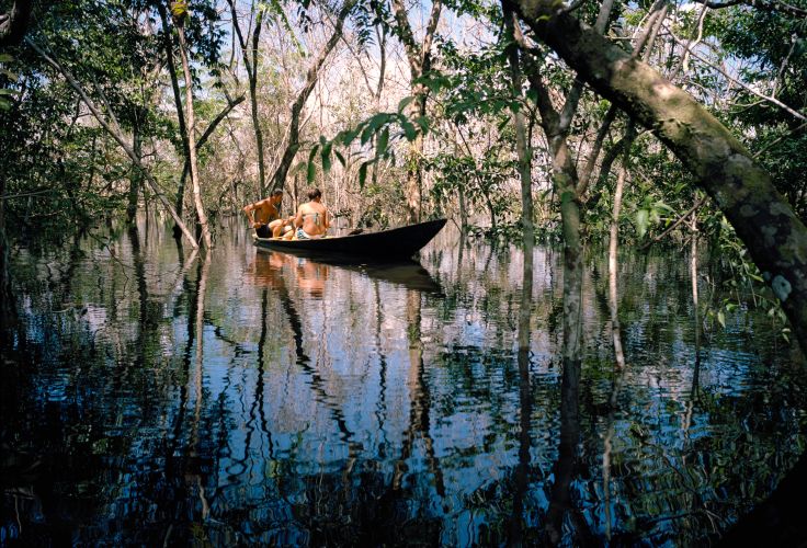 Lac Juma - Manaus - Amazonie - Brésil