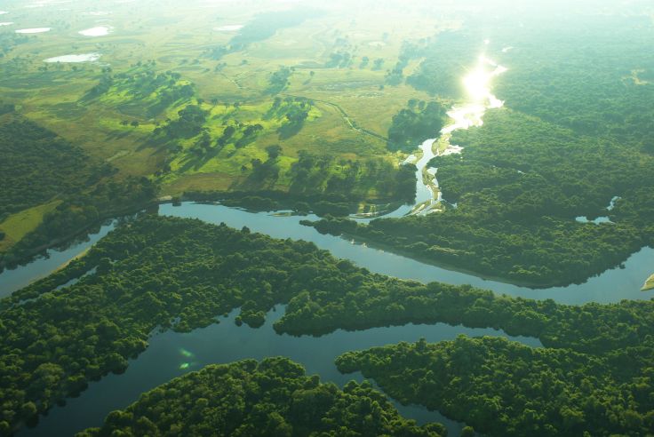 Pantanal - Brésil