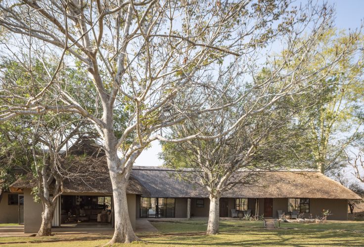 Reserve Privée de Timbavati - Afrique du sud