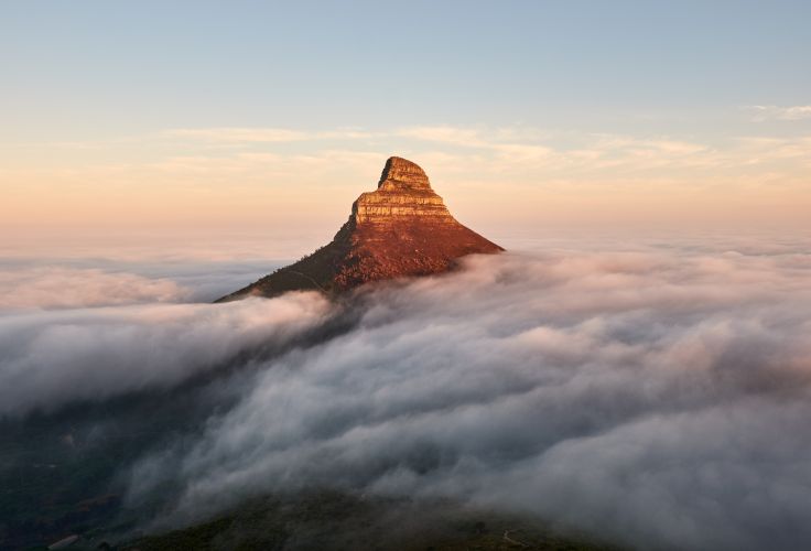 Lion's Head - Afrique du sud