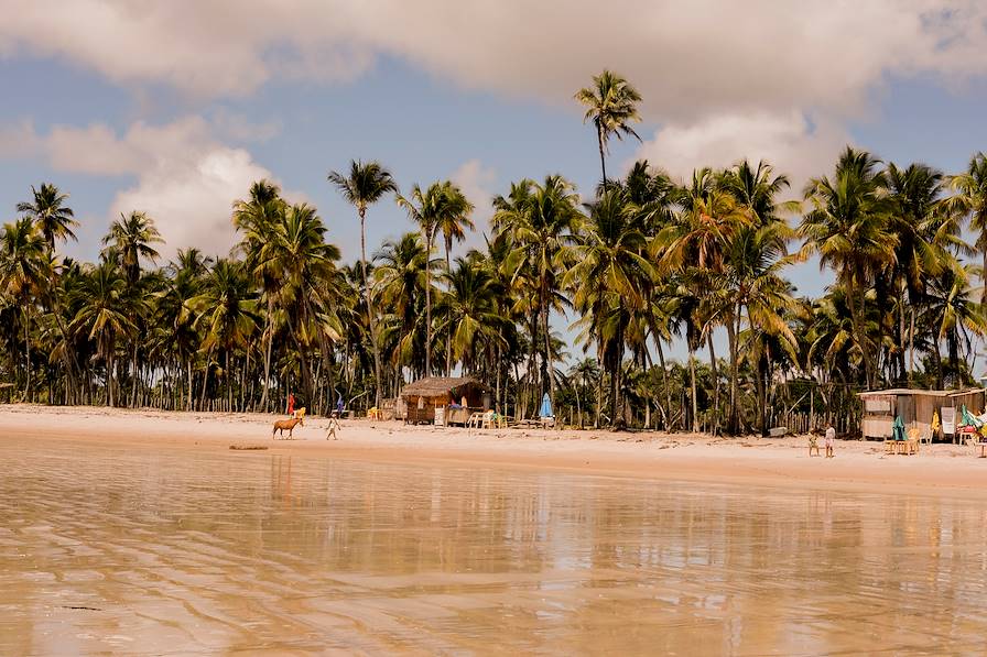 Ile de Boipeba - Bahia - Brésil
