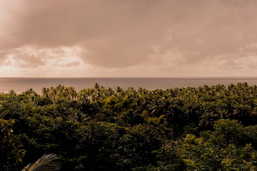 Ile de Boipeba - Bahia - Brésil