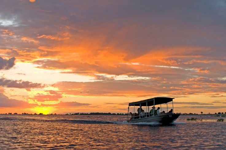 Parc National de Chobe - Botswana