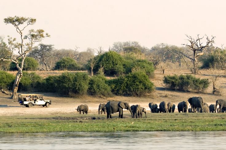 Parc national de Chobe - Botswana