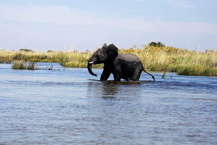 Okavango - Botswana