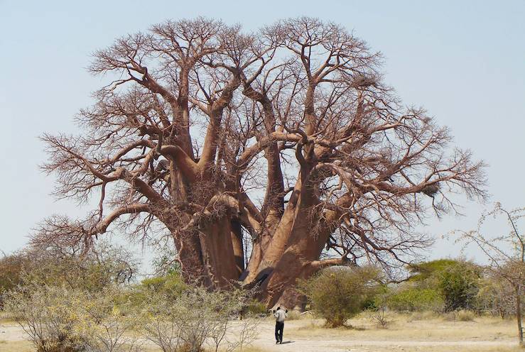 Makgadikgadi - Botswana