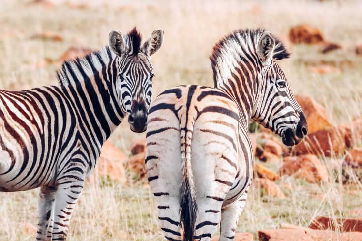 Botswana