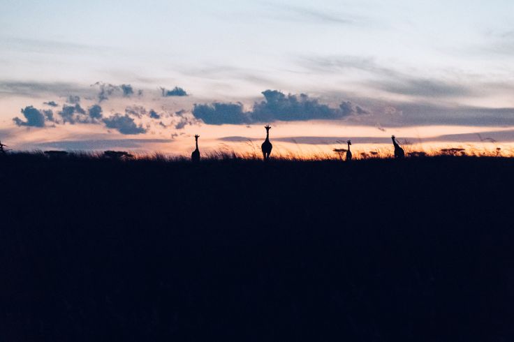 Botswana