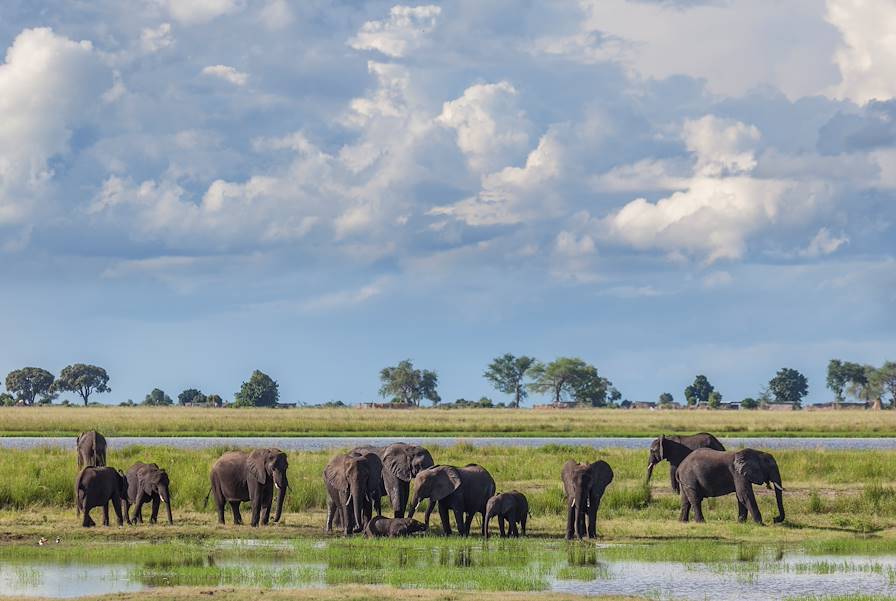 Okavango - Botswana