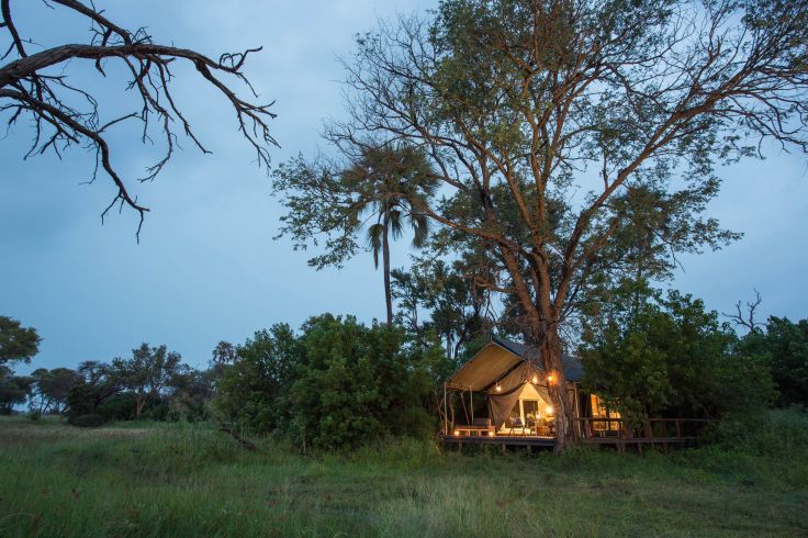 Gomoti Plains Camp - Okavango - Botswana