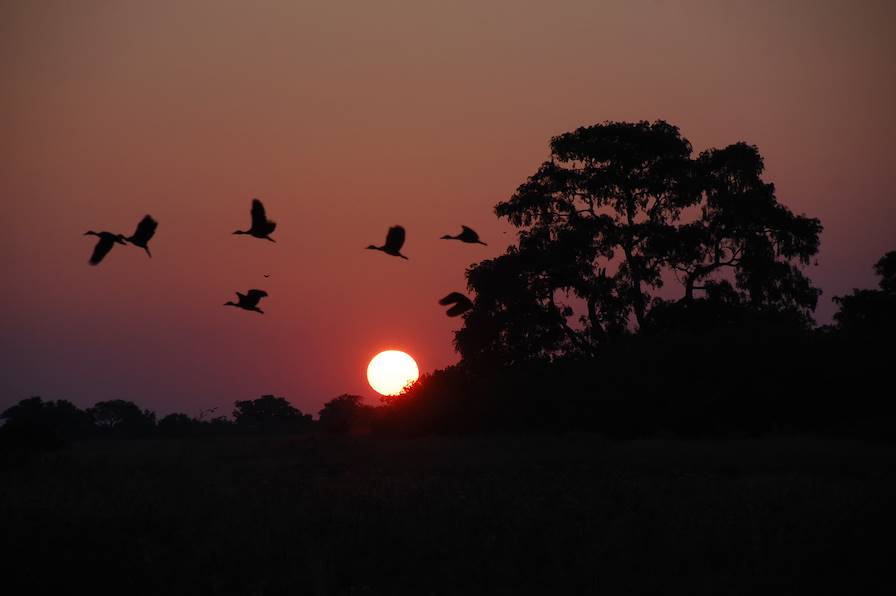 Okavango - Botswana