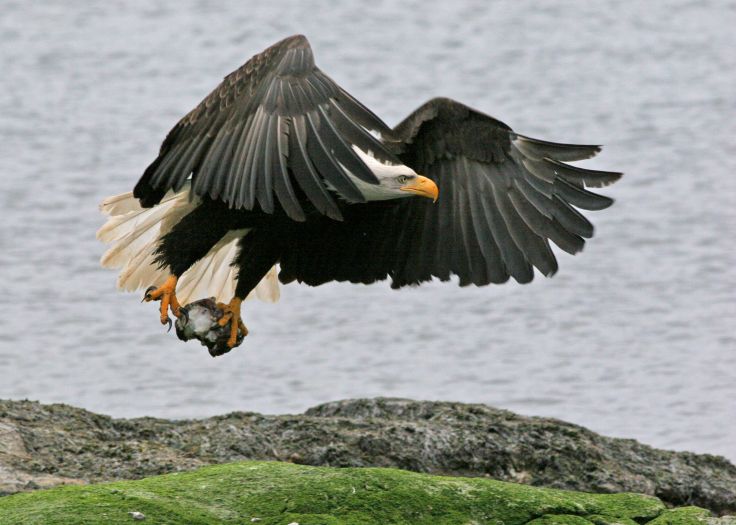 Victoria - Canada