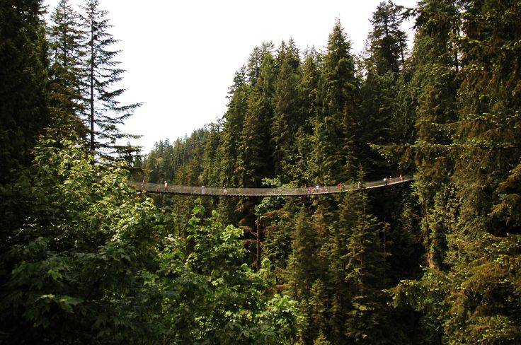 Capilano Bridge - Colombie Britannique - Canada