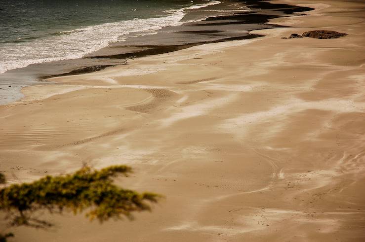 Plage de Tofino - Colombie Britannique - Canada