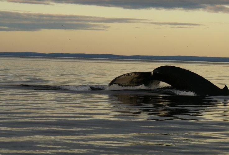 Tadoussac - Québec