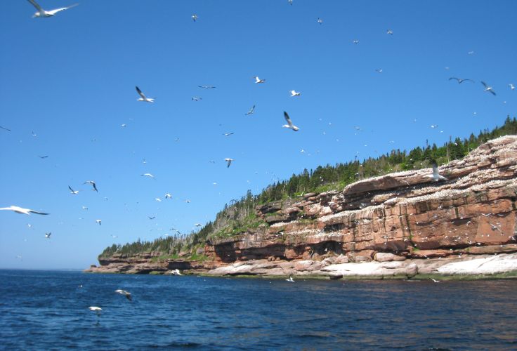 Bonaventure - Québec - Canada