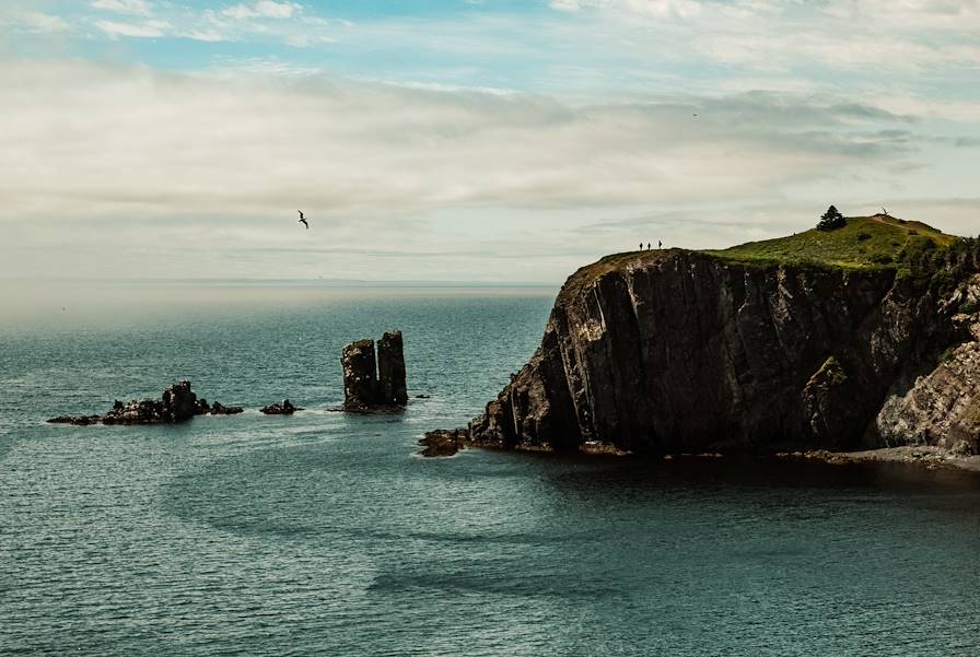 sentier Skerwink - Trinity - Terre-Neuve et Labrador - Canada © meny.arigur / Adobe Stock