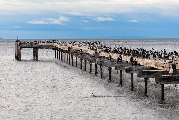 Punta Arenas - Chili