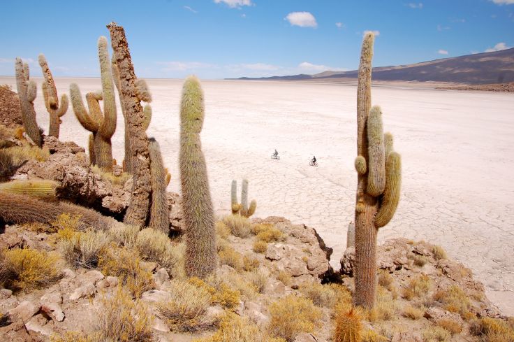 Désert d'Atacama en airstream - San Pedro de Atacama - Chili