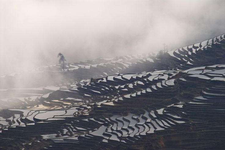 Yuanyang - Yunnan - Chine