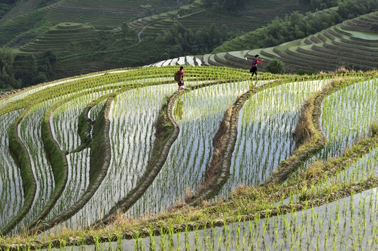 Longsheng - Guangxi - Chine