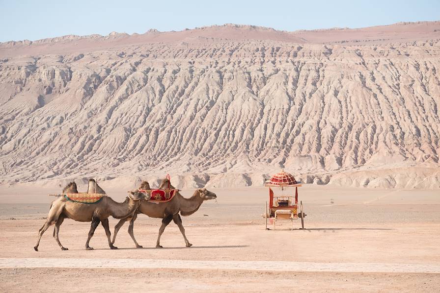 Voyages itinérants Chine - Dunhuang - Kachgar - Xi'an