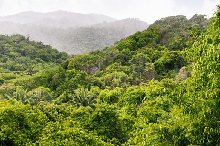 Parc Tayrona - Sierra Nevada de Santa Marta - Colombie