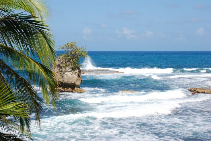 Plage de Punta Uva - Puerto Viejo de Talamanca - Costa Rica