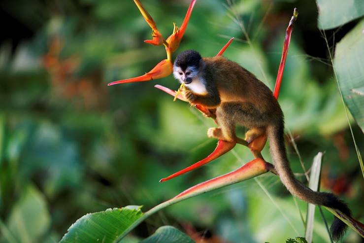 Costa Rica