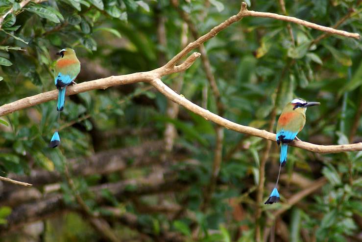 Tarcoles - Costa Rica
