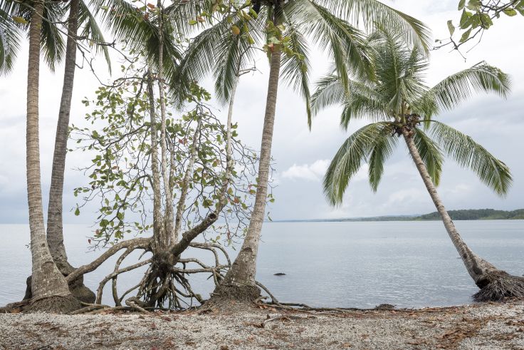 Golfo Dulce - Costa Rica