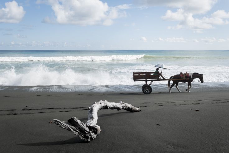 Peninsule d'Osa - Puntarenas - Costa Rica