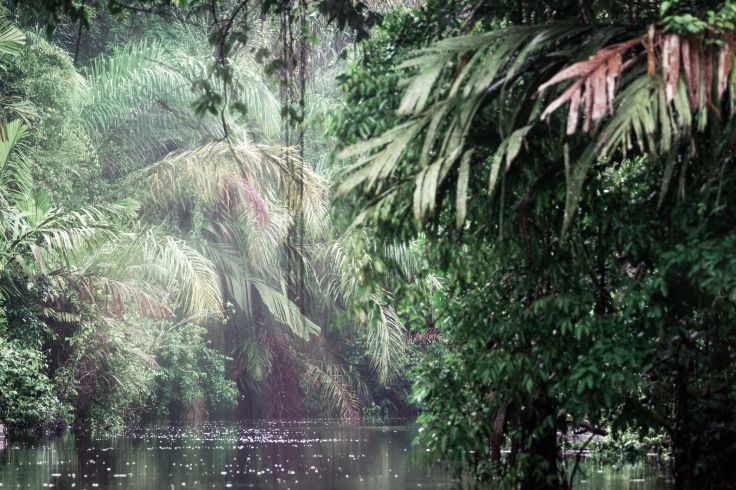 Voyage itinérant Costa Rica - San José - Arenal - Bijagua - Nosara