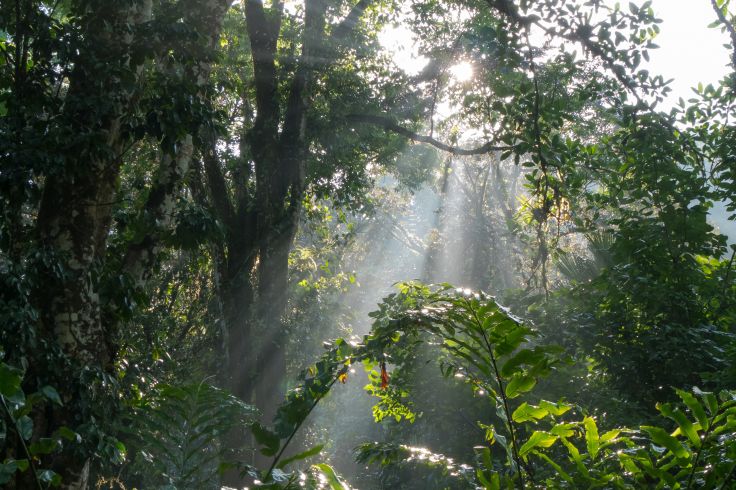 Costa Rica