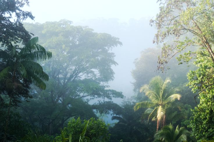 Voyage itinérant Costa Rica - San José - Arenal - Bijagua - Nosara