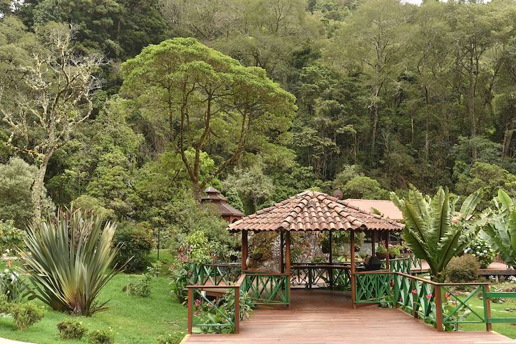 San Gerardo de Dota - Vallée Centrale - Costa Rica