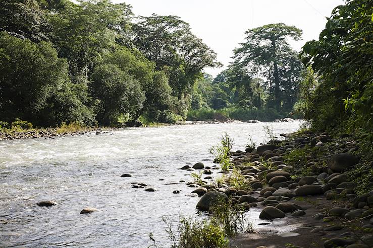 Sarapiqui - Costa Rica