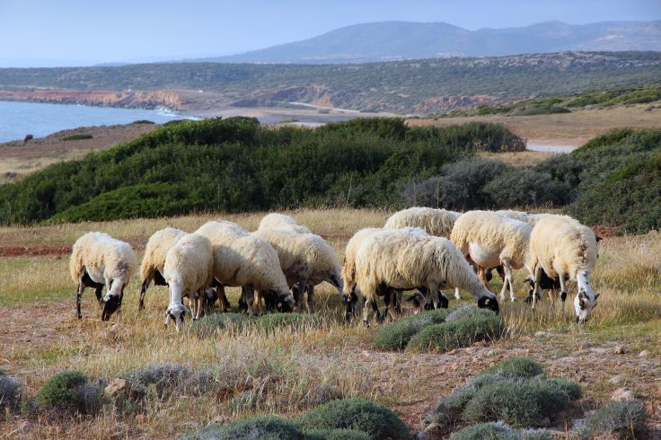Région de Paphos - Chypre