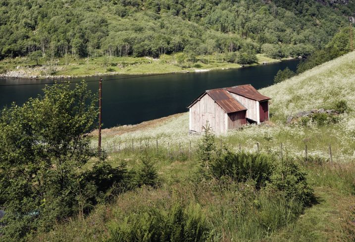 Comté de Sogn og fjordane - Norvège