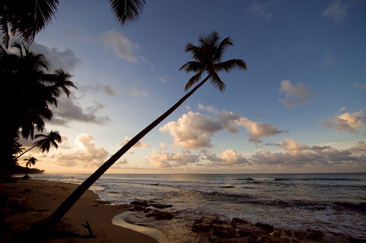 Cabo Frances - Las Terrenas - République Dominicaine
