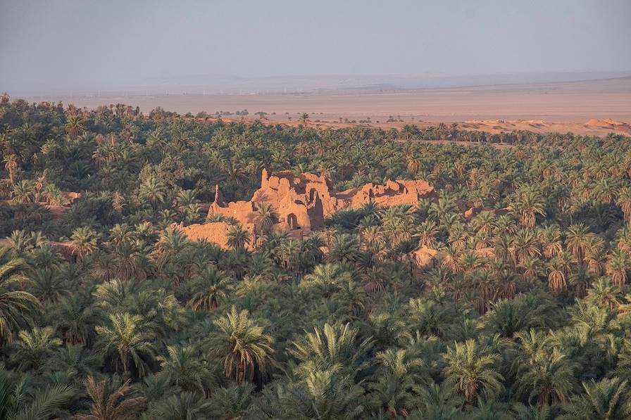 Oasis - Désert - Sahara - Algérie © tynrud - stock.adobe.com
