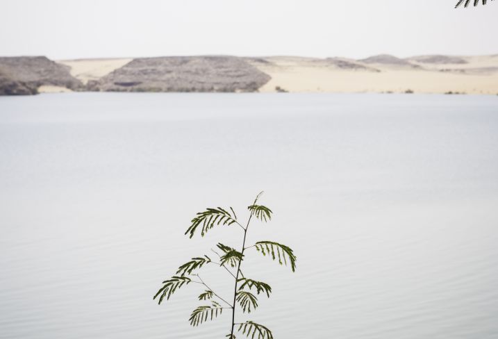 Lac Nasser - Abou Simbel - Egypte