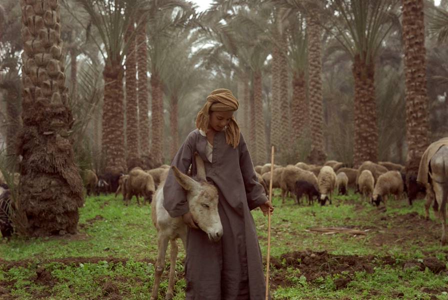 Saqqarah - Egypte